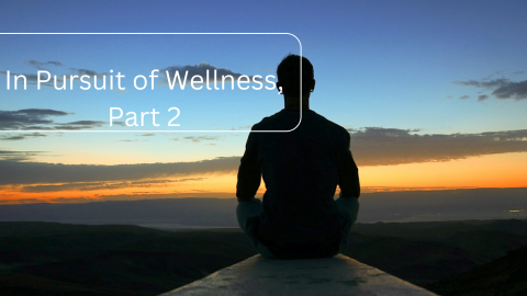 In Pursuit of Wellness, Part 2