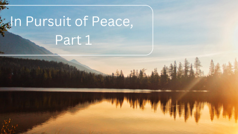 In Pursuit of Peace, Part 1