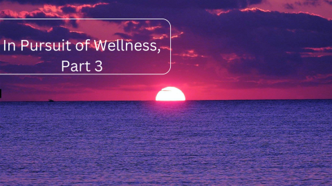 In Pursuit of Wellness, Part 3
