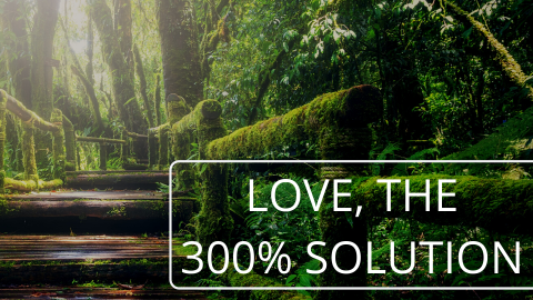 Love, The 300% Solution