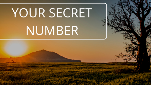 Your Secret Number