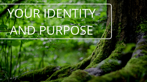 Your Identity and Purpose
