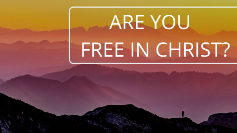 Are you free in Christ?