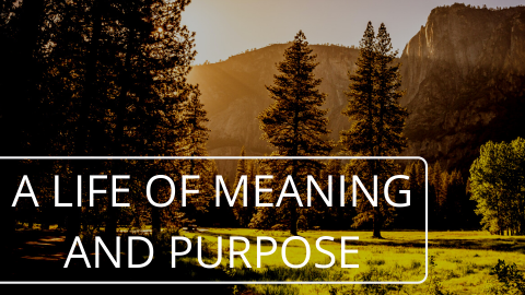 A Life of Meaning and Purpose