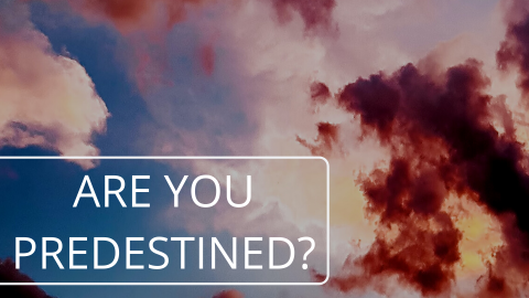 Are you predestined?