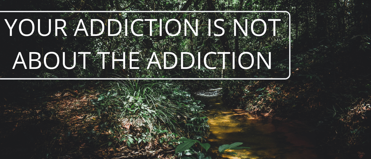 how to heal an addiction