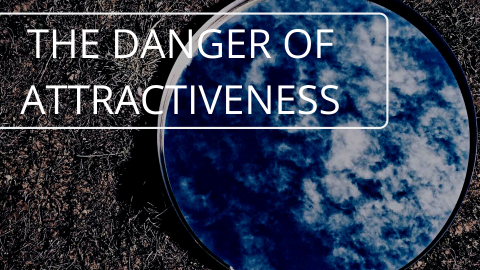 The danger of attractiveness